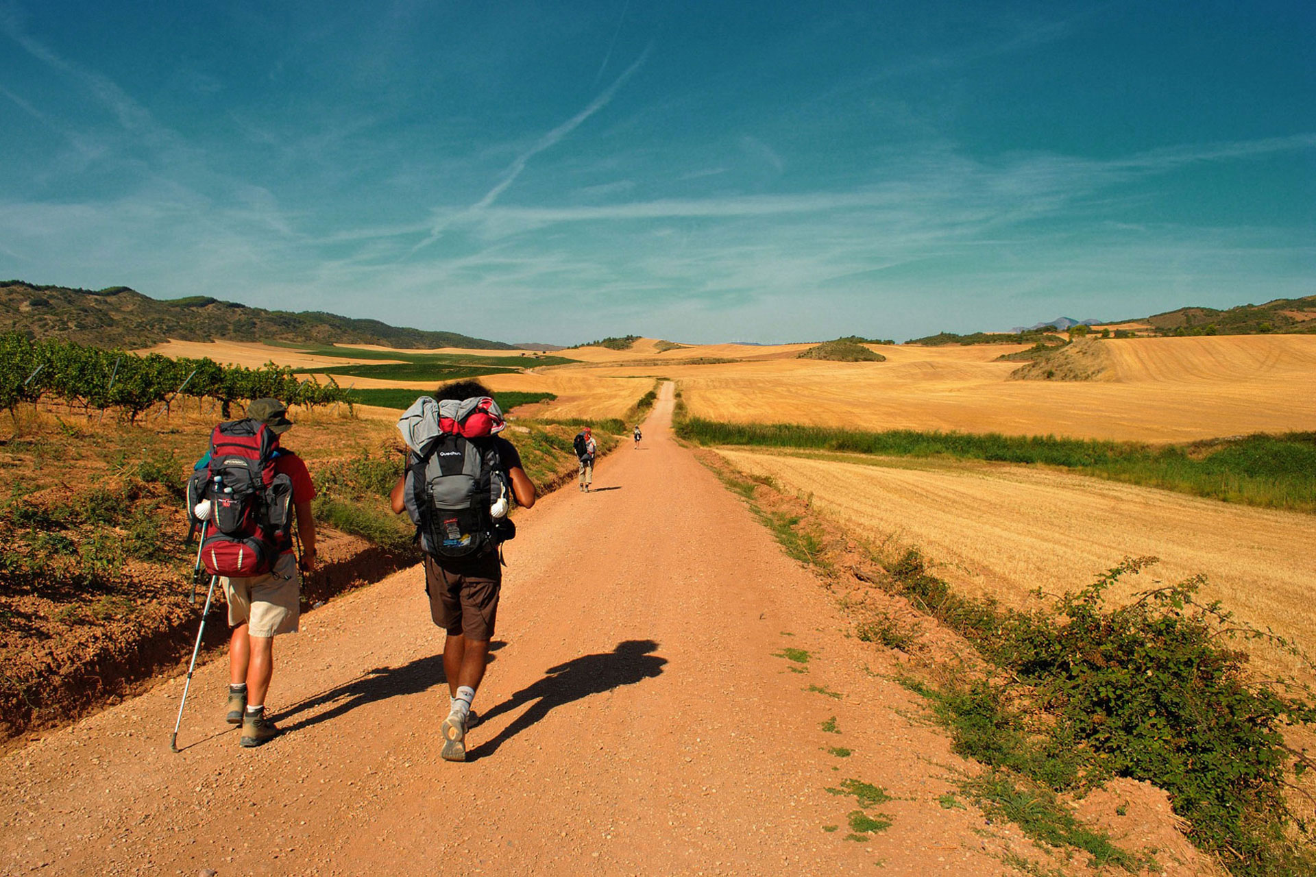 Sognare Di Percorrere Una Strada A Piedi HOME - ..:: Sistema ITS Puglia