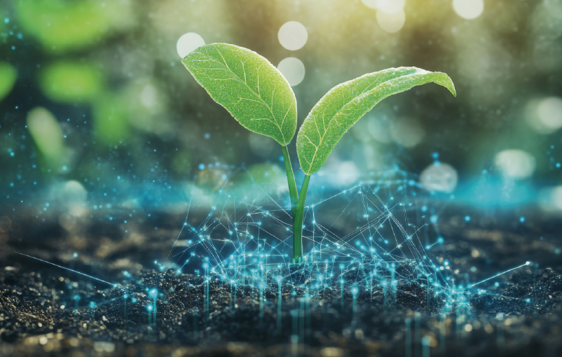 sistema-its-puglia_chi_siamo_00004